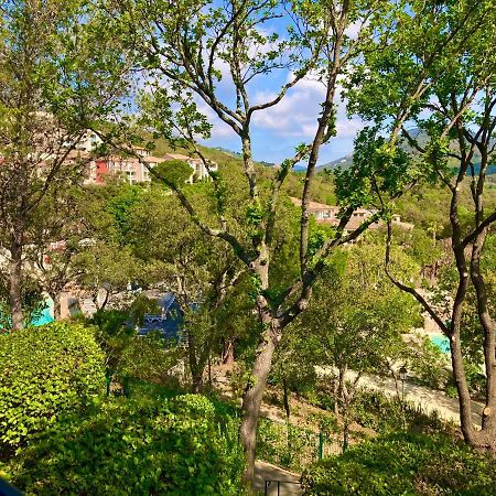 Les Restanques Bruyeres 2103 Proche Piscine Appartement Grimaud Buitenkant foto